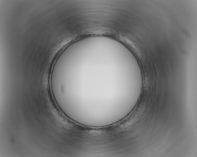 X0000112480394200908171017