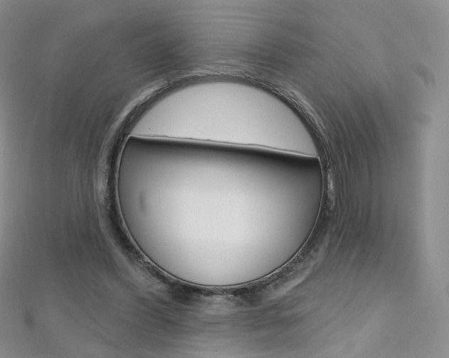 X0000112480396200908171017
