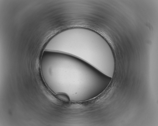 X0000112480397200908171017
