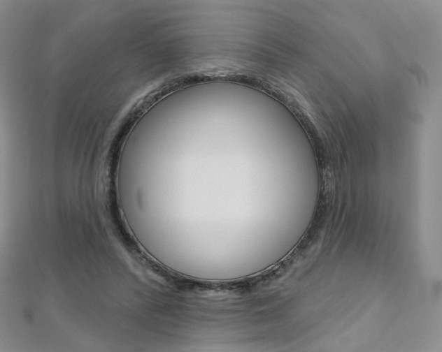 X0000112480400200908171017