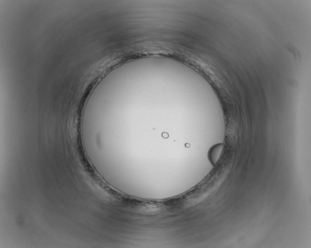 X0000112480402200908171017