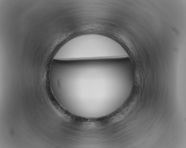 X0000112480404200908171017