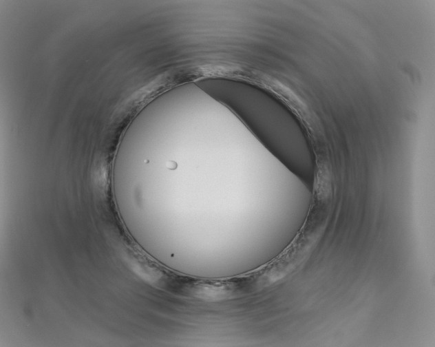X0000112480405200908171017