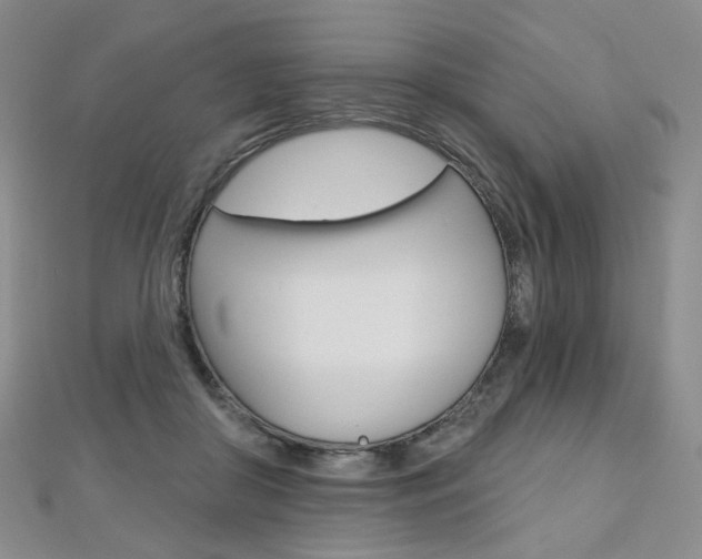 X0000112480410200908171016