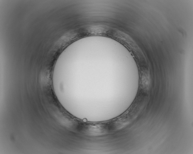 X0000112480411200908171016