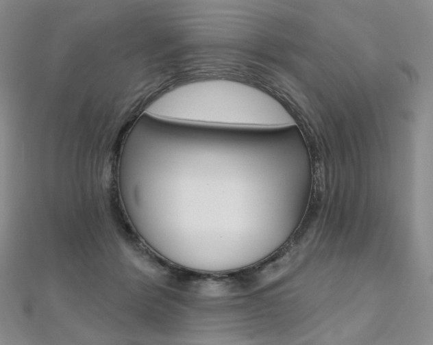X0000112480412200908171016