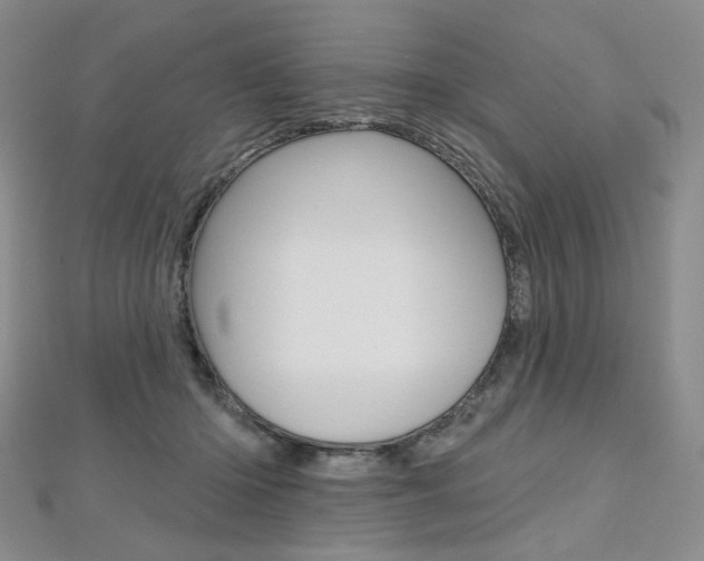 X0000112480414200908171016