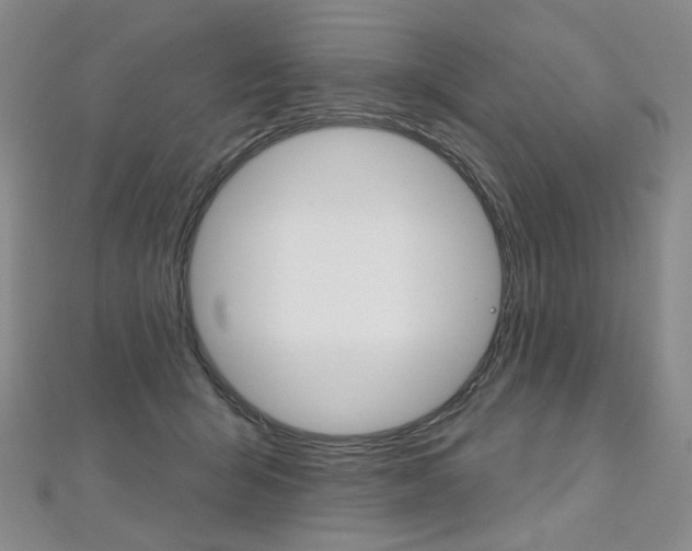 X0000112480415200908171016