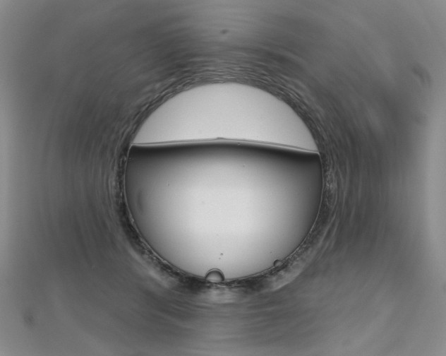 X0000112480416200908171016