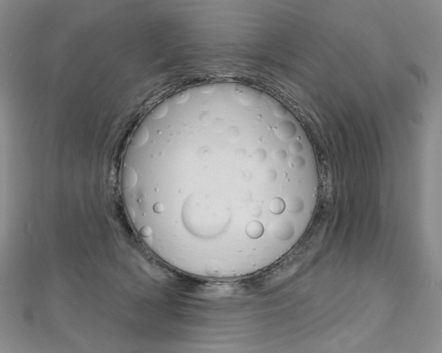 X0000112480418200908171016