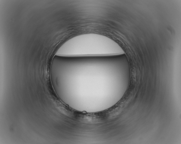X0000112480420200908171016