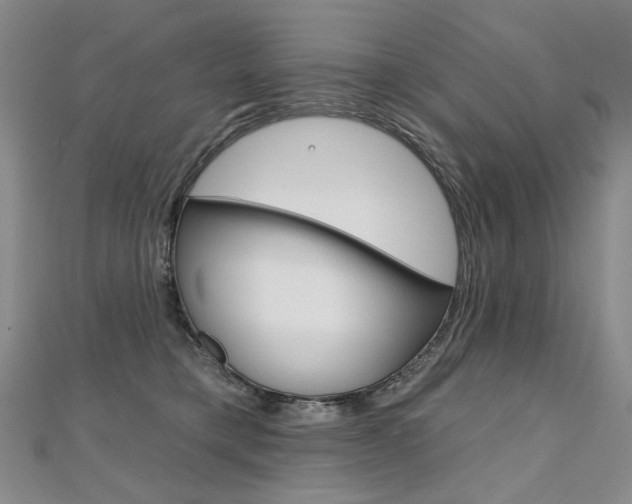 X0000112480421200908171016