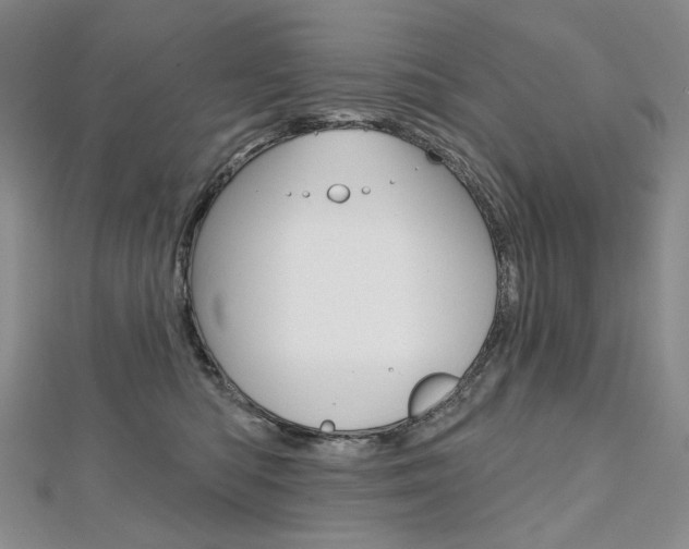 X0000112480422200908171016