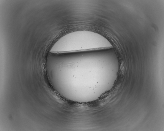 X0000112480424200908171016