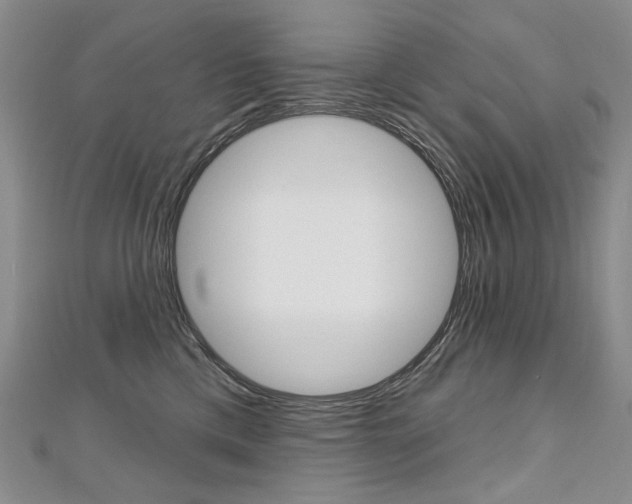 X0000112480425200908171016