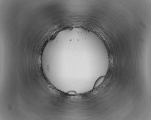 X0000112480426200908171016