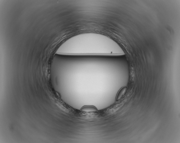 X0000112480428200908171016