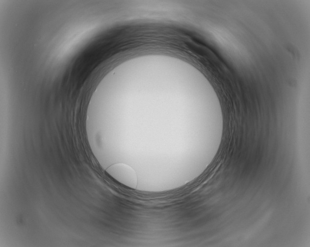 X0000112480431200908171016