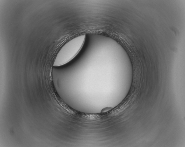 X0000112480432200908171016