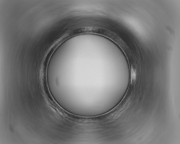 X0000112480435200908171016