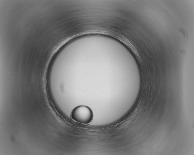 X0000112480436200908171016