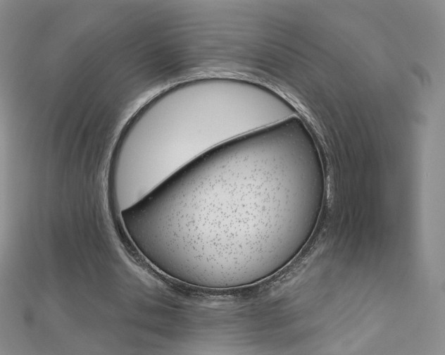 X0000112480438200908171016