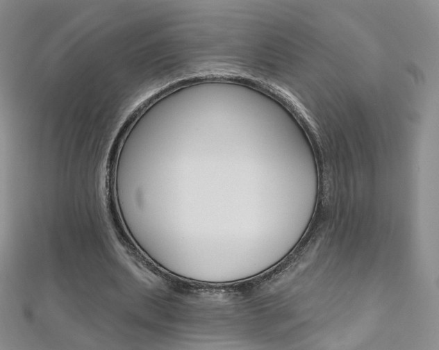 X0000112480439200908171016