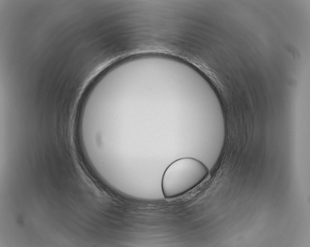 X0000112480440200908171016