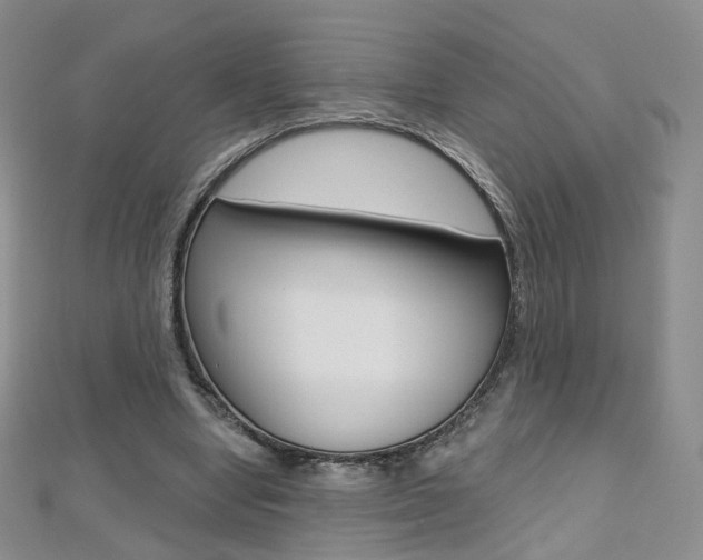 X0000112480442200908171016
