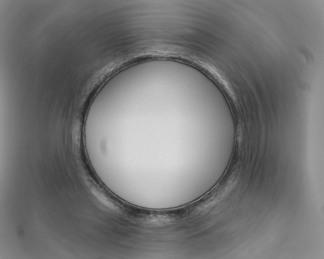 X0000112480445200908171016