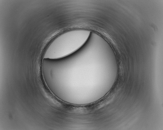 X0000112480446200908171016