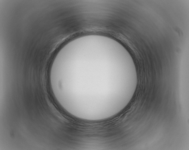 X0000112480448200908171016