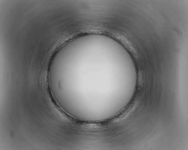 X0000112480449200908171016