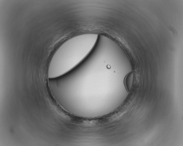 X0000112480450200908171016