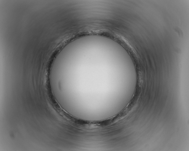 X0000112480451200908171016