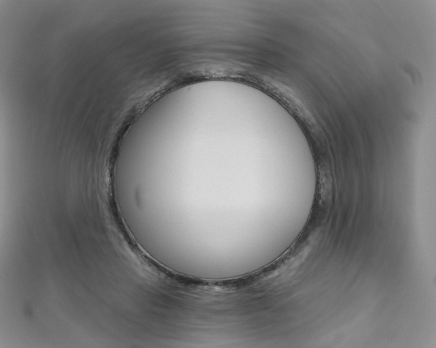 X0000112480453200908171016