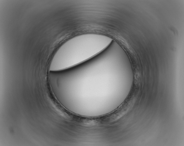 X0000112480454200908171016