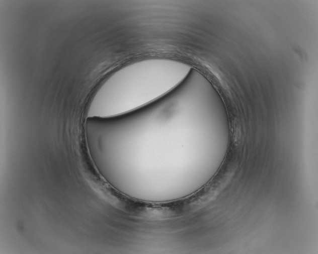 X0000112480455200908171016