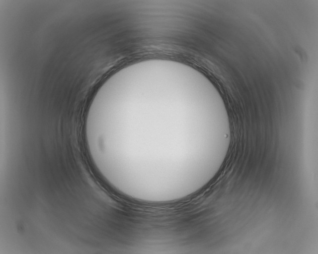X0000112480456200908171016