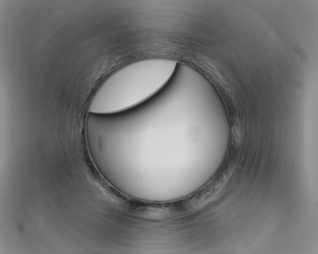 X0000112480458200908171016