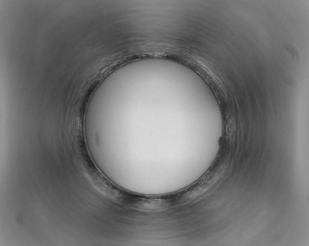 X0000112480459200908171016