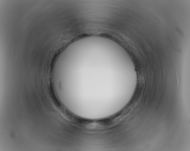 X0000112480460200908171016