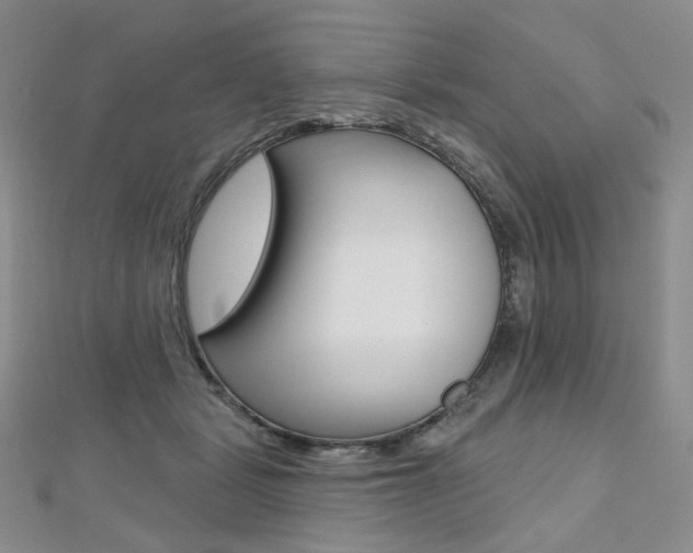 X0000112480461200908171016