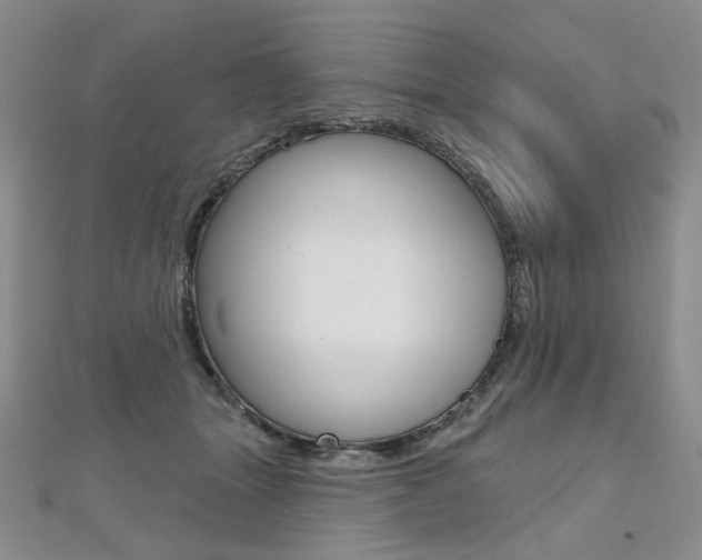 X0000112480463200908171016