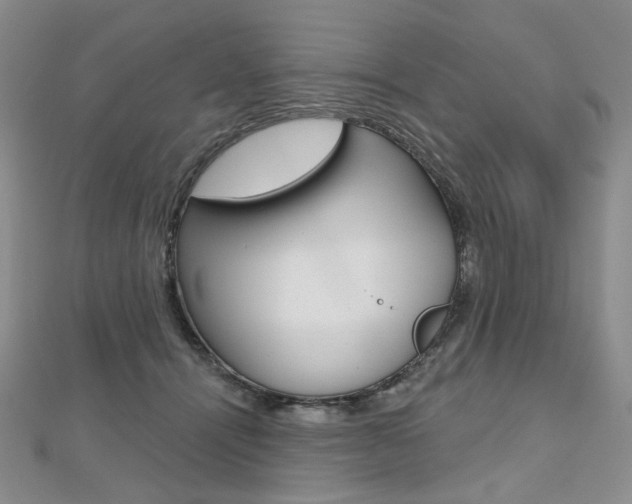 X0000112480464200908171016