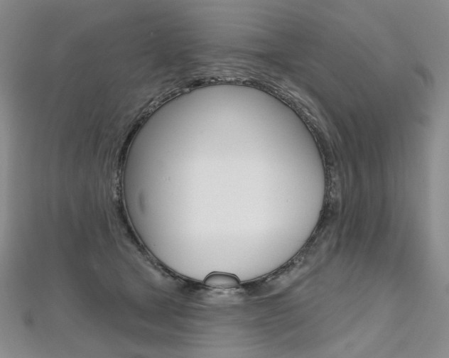 X0000112480465200908171016