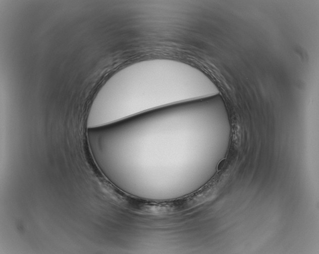 X0000112480466200908171016