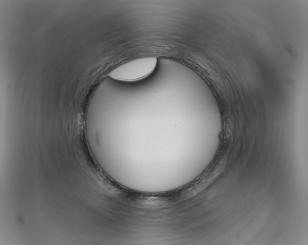 X0000112480467200908171016