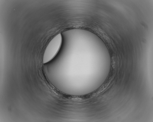 X0000112480471200908171016