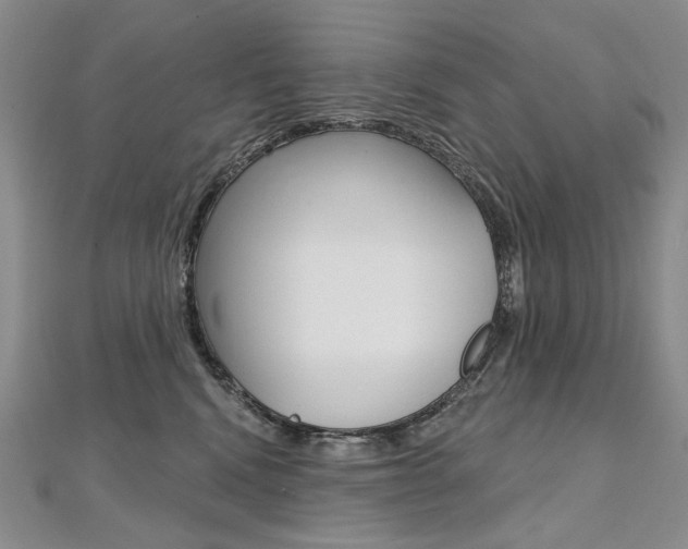 X0000112480472200908171016